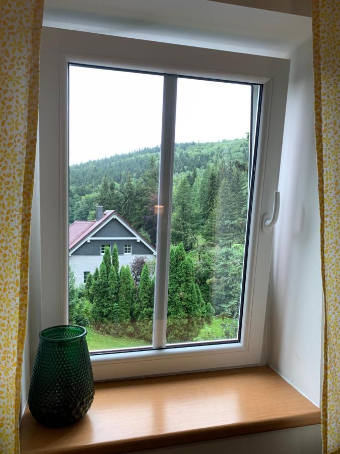Penzion Zelené Údolí Janské Lázně Extérieur photo