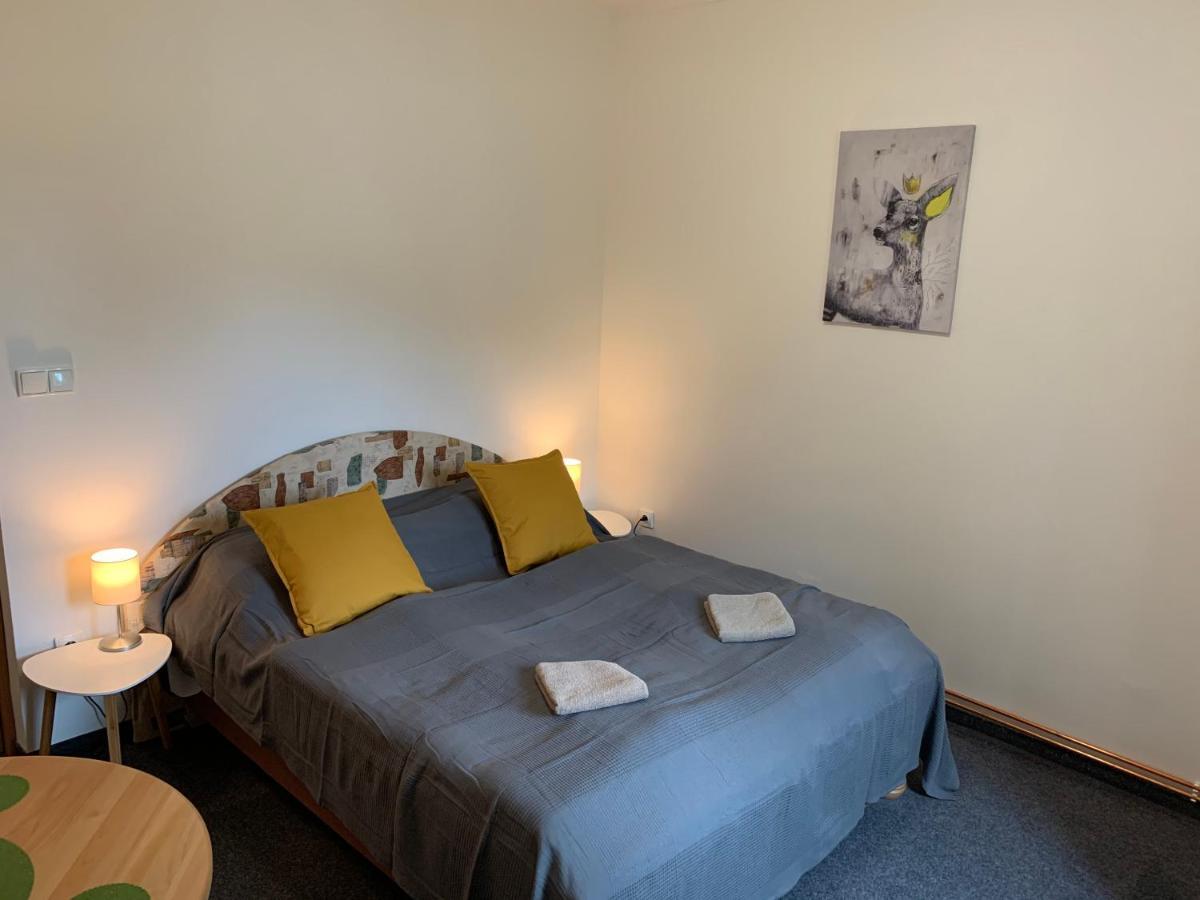 Penzion Zelené Údolí Janské Lázně Extérieur photo