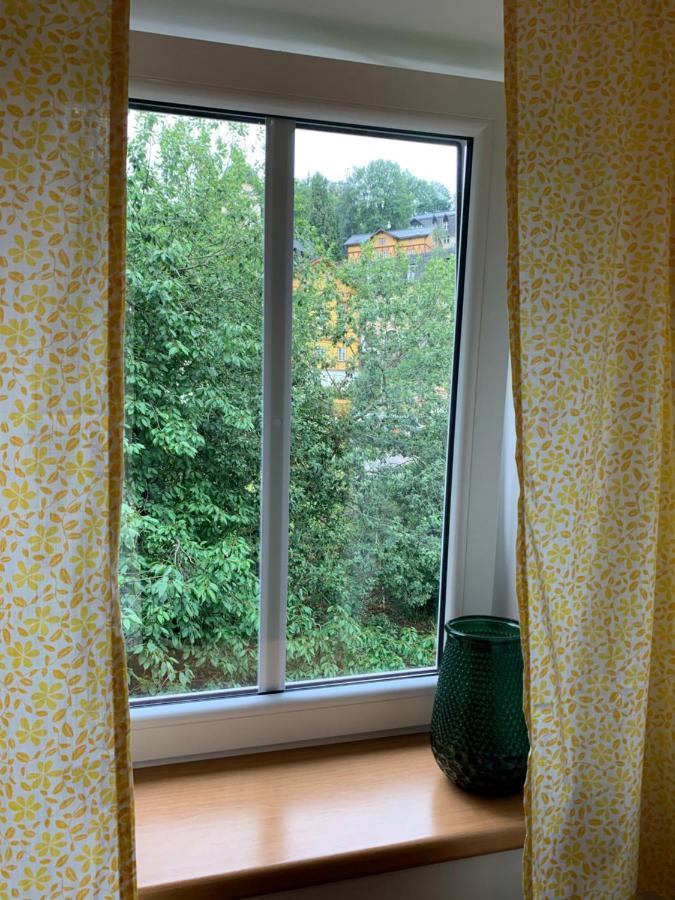 Penzion Zelené Údolí Janské Lázně Extérieur photo