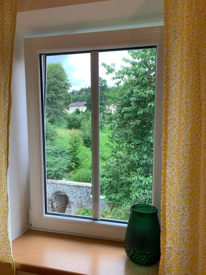 Penzion Zelené Údolí Janské Lázně Extérieur photo