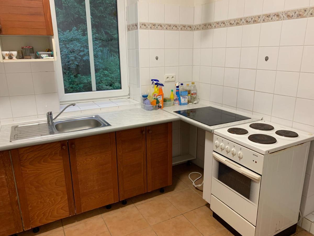Penzion Zelené Údolí Janské Lázně Extérieur photo